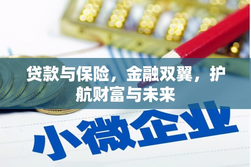 宝应贷款与保险，金融双翼，护航财富与未来