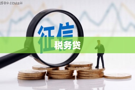 宝应税务贷