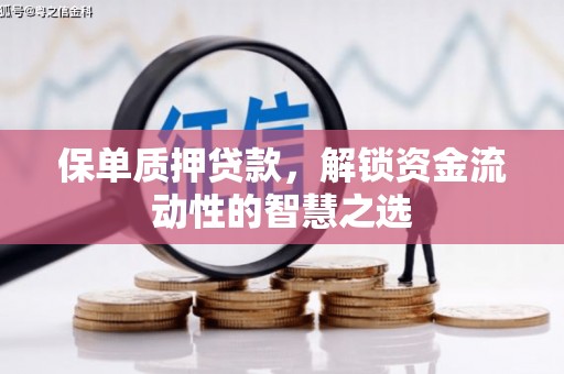 宝应保单质押贷款，解锁资金流动性的智慧之选
