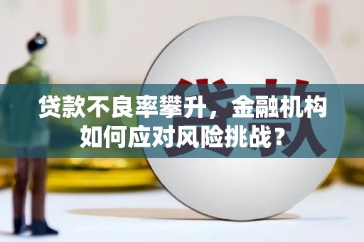 宝应贷款不良率攀升，金融机构如何应对风险挑战？