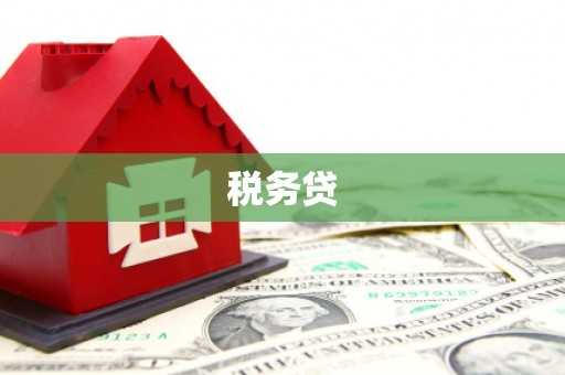宝应税务贷