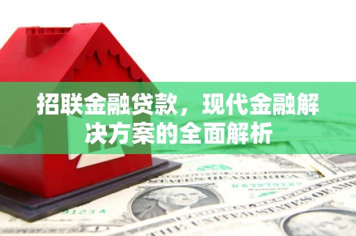 宝应招联金融贷款，现代金融解决方案的全面解析