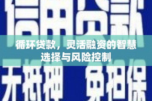 宝应循环贷款，灵活融资的智慧选择与风险控制