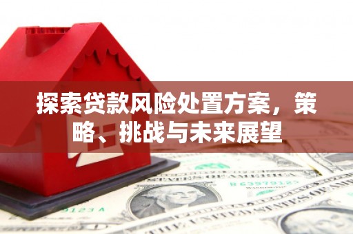 宝应探索贷款风险处置方案，策略、挑战与未来展望