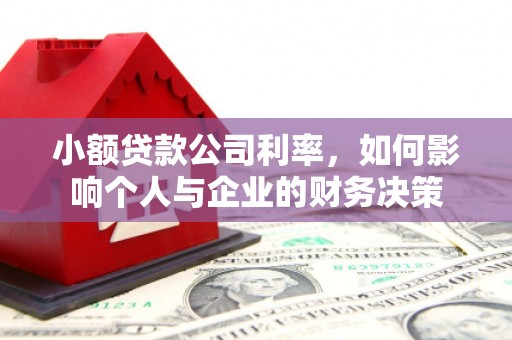 宝应小额贷款公司利率，如何影响个人与企业的财务决策