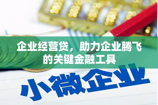 宝应企业经营贷，助力企业腾飞的关键金融工具