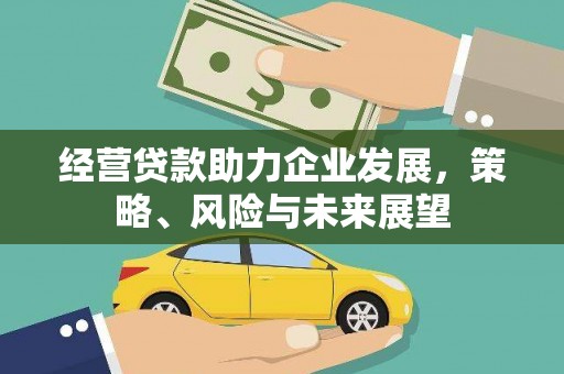 宝应经营贷款助力企业发展，策略、风险与未来展望