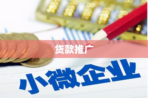 宝应贷款推广