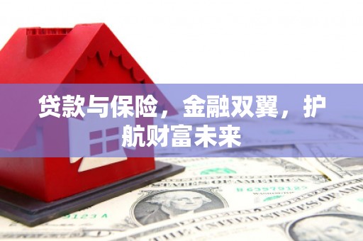 宝应贷款与保险，金融双翼，护航财富未来