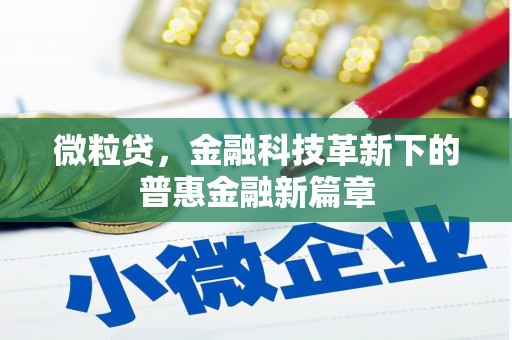 宝应微粒贷，金融科技革新下的普惠金融新篇章