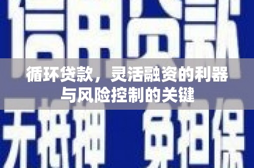 宝应循环贷款，灵活融资的利器与风险控制的关键