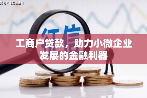 宝应工商户贷款，助力小微企业发展的金融利器