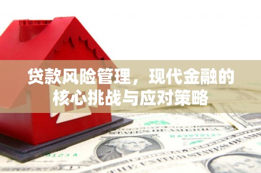 宝应贷款风险管理，现代金融的核心挑战与应对策略