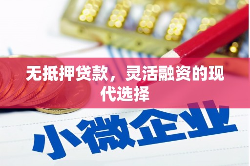 宝应无抵押贷款，灵活融资的现代选择