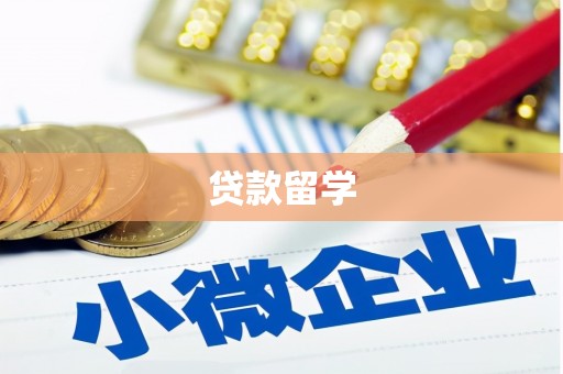 宝应贷款留学