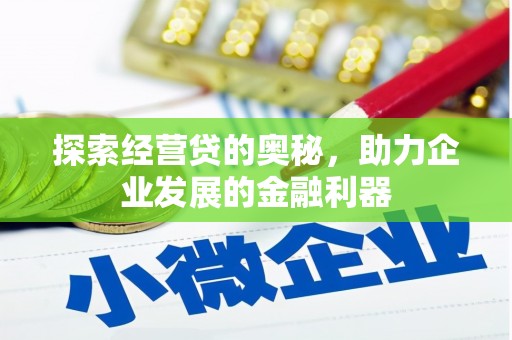 宝应探索经营贷的奥秘，助力企业发展的金融利器