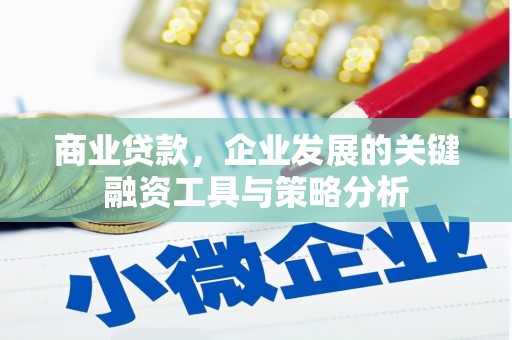 宝应商业贷款，企业发展的关键融资工具与策略分析