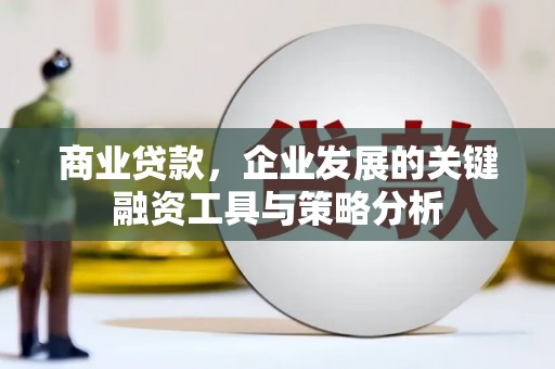 宝应商业贷款，企业发展的关键融资工具与策略分析