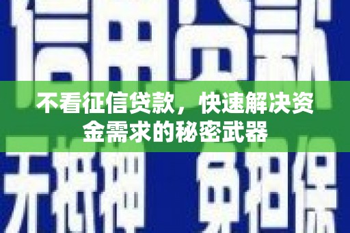 宝应不看征信贷款，快速解决资金需求的秘密武器