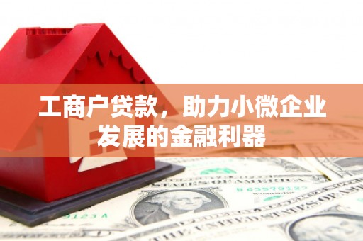 宝应工商户贷款，助力小微企业发展的金融利器
