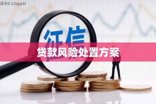 宝应贷款风险处置方案