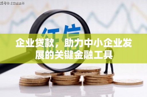 宝应企业贷款，助力中小企业发展的关键金融工具