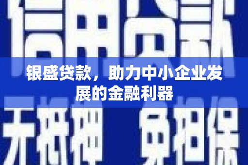 宝应银盛贷款，助力中小企业发展的金融利器