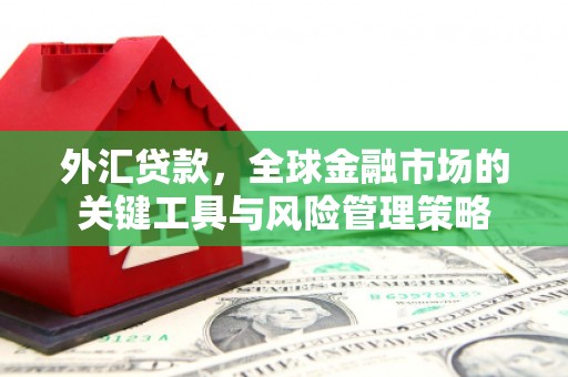 宝应外汇贷款，全球金融市场的关键工具与风险管理策略