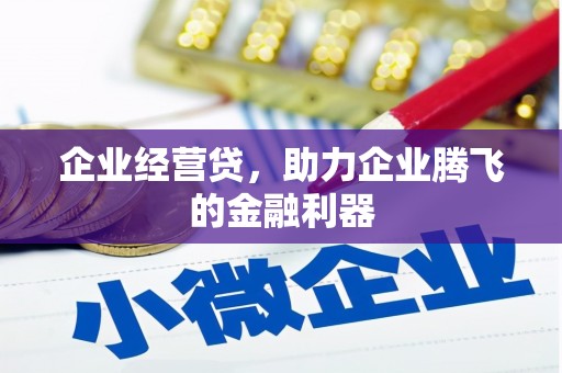 宝应企业经营贷，助力企业腾飞的金融利器