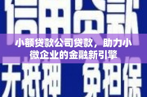 宝应小额贷款公司贷款，助力小微企业的金融新引擎