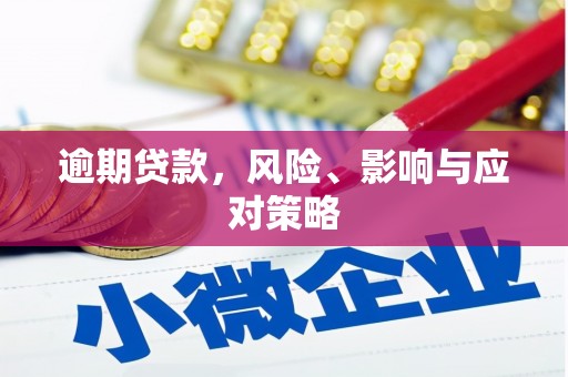 宝应逾期贷款，风险、影响与应对策略
