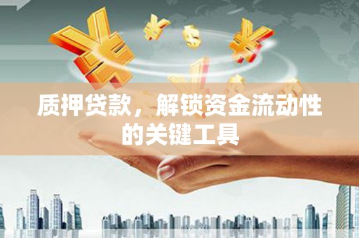 宝应质押贷款，解锁资金流动性的关键工具