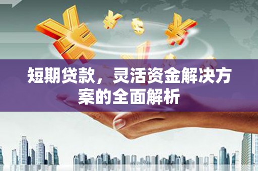 宝应短期贷款，灵活资金解决方案的全面解析