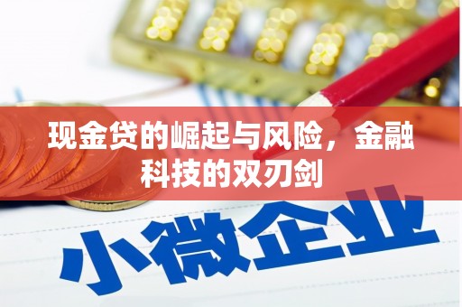 宝应现金贷的崛起与风险，金融科技的双刃剑