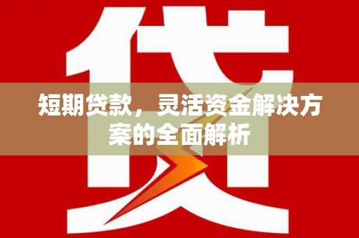 宝应短期贷款，灵活资金解决方案的全面解析
