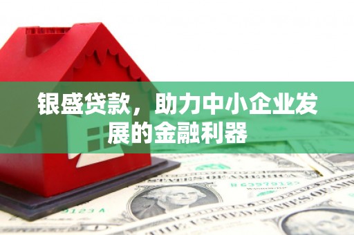 宝应银盛贷款，助力中小企业发展的金融利器