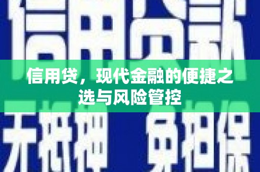 宝应信用贷，现代金融的便捷之选与风险管控
