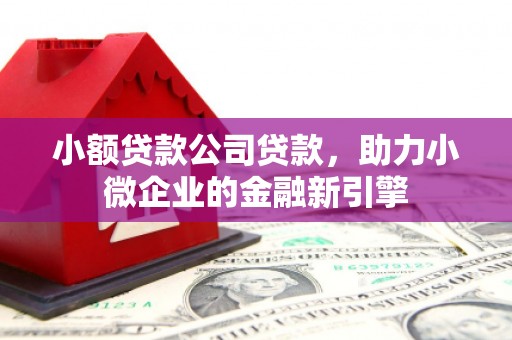 宝应小额贷款公司贷款，助力小微企业的金融新引擎
