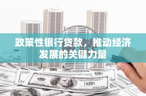 宝应政策性银行贷款，推动经济发展的关键力量