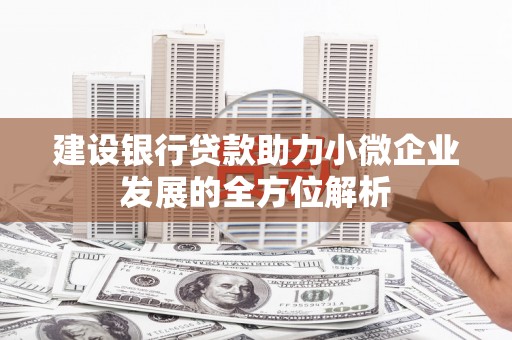 宝应建设银行贷款助力小微企业发展的全方位解析