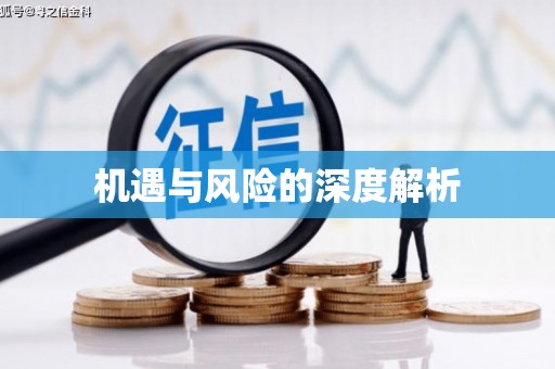 宝应机遇与风险的深度解析