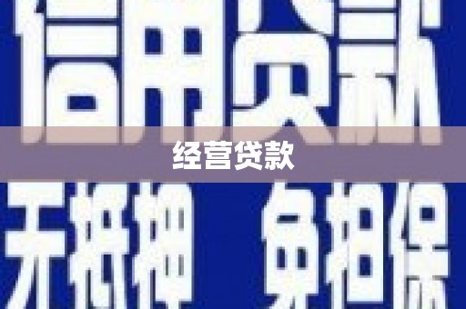 宝应经营贷款