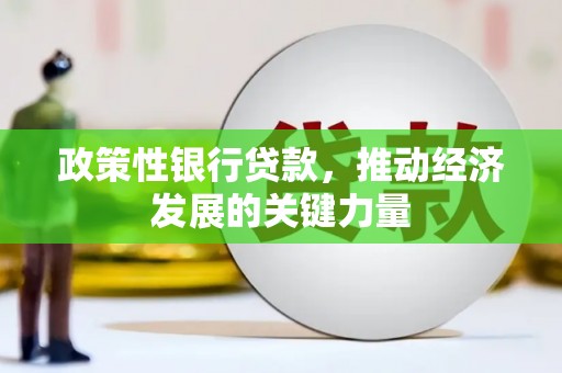宝应政策性银行贷款，推动经济发展的关键力量
