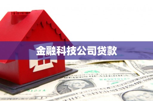 宝应金融科技公司贷款