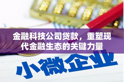 宝应金融科技公司贷款，重塑现代金融生态的关键力量