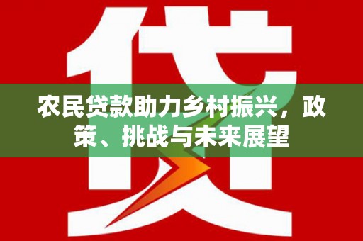 宝应农民贷款助力乡村振兴，政策、挑战与未来展望