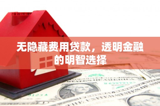 宝应无隐藏费用贷款，透明金融的明智选择