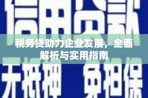 宝应税务贷助力企业发展，全面解析与实用指南