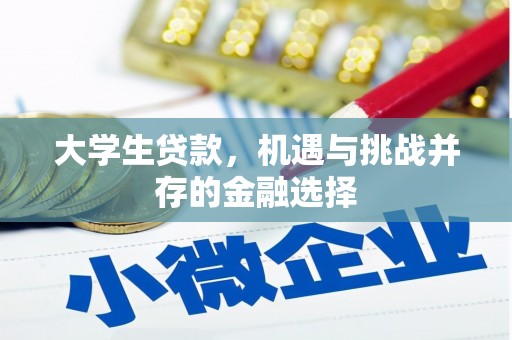 宝应大学生贷款，机遇与挑战并存的金融选择