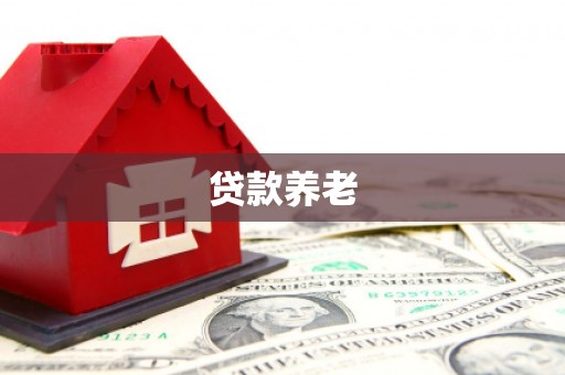 宝应贷款养老